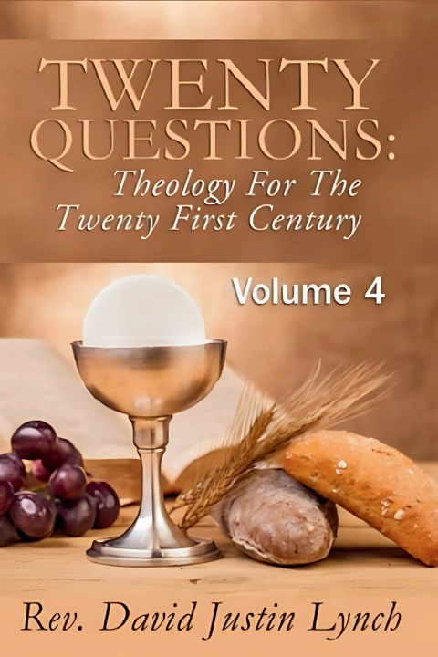Knjiga Twenty Questions David Justin Lynch