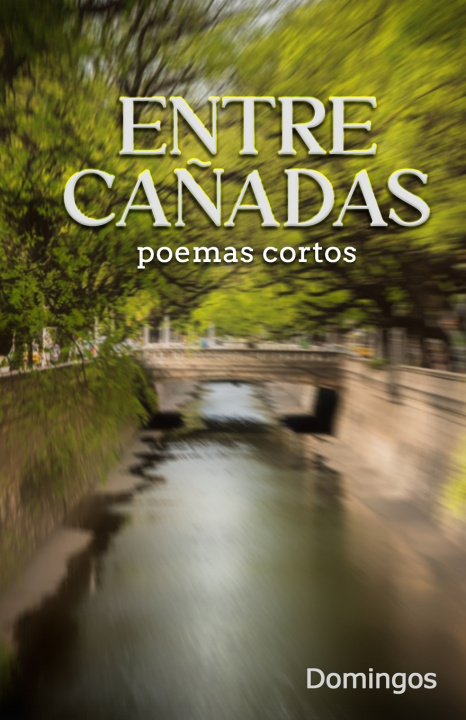 Kniha Entre Cañadas José Gregorio Domingos