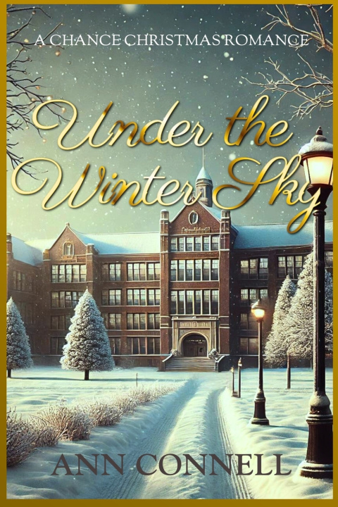 Knjiga Under the Winter Sky Ann Connell
