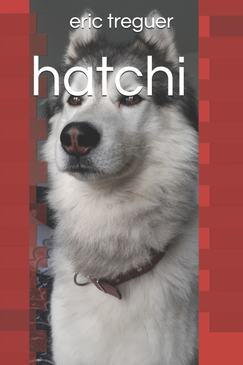 Kniha hatchi eric treguer