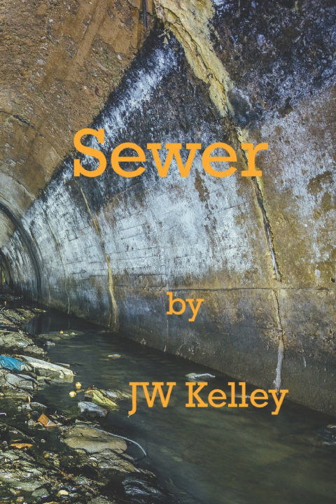 Kniha Sewer James Willard Kelley Jr.
