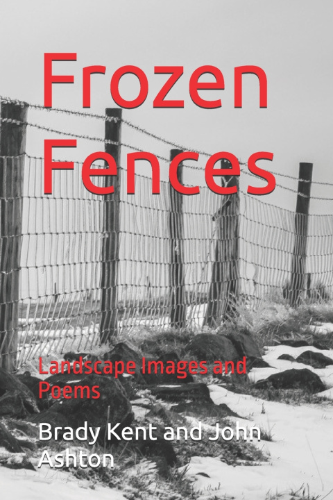 Knjiga Frozen Fences Brady Kent