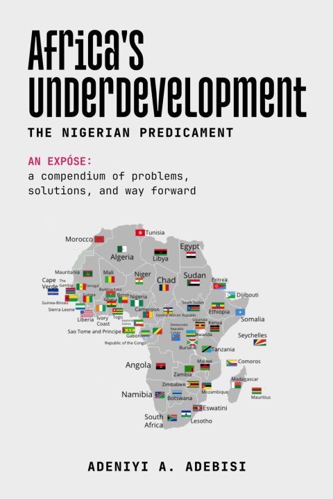Kniha Africa's Underdevelopment Adeniyi A. Adebisi