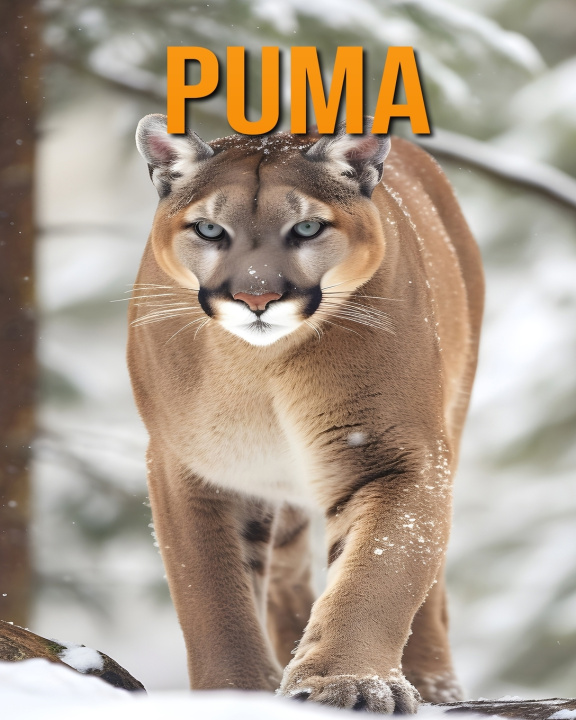 Kniha Puma Isla Vane