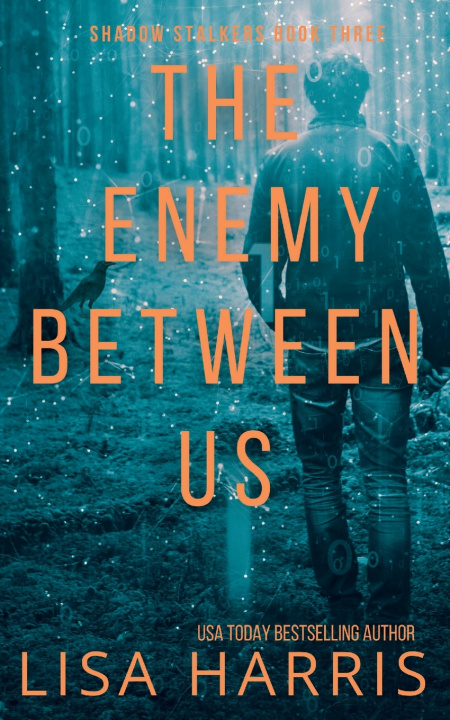 Kniha The Enemy Between Us Lisa Harris