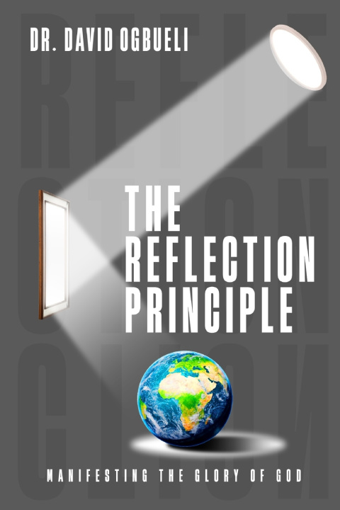 Kniha THE REFLECTION PRINCIPLE DAVID OGBUELI