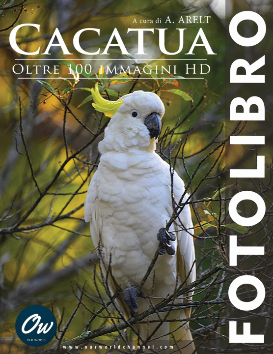 Kniha Cacatua A Arelt