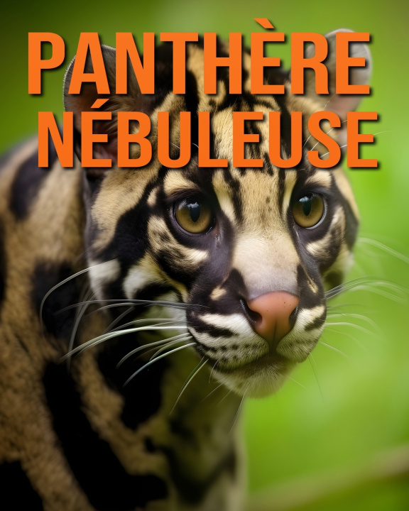 Kniha Panthère Nébuleuse Isla Vane