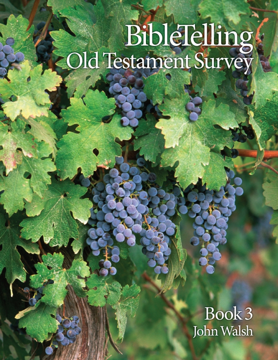 Kniha BibleTelling Old Testament Survey John Walsh