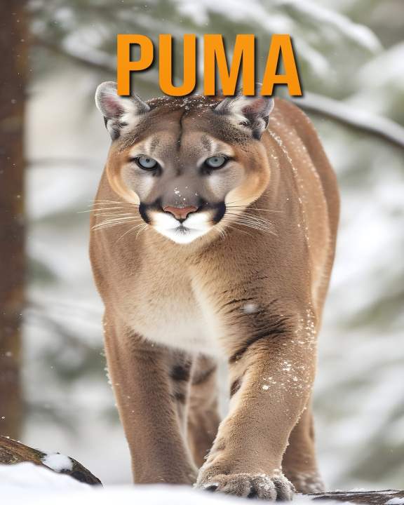 Book Puma Isla Vane