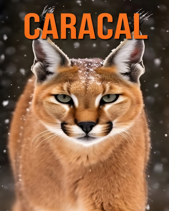 Book Caracal Isla Vane