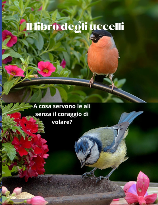 Kniha Il libro degli uccelli MEZZO DAVIDE ANDREA
