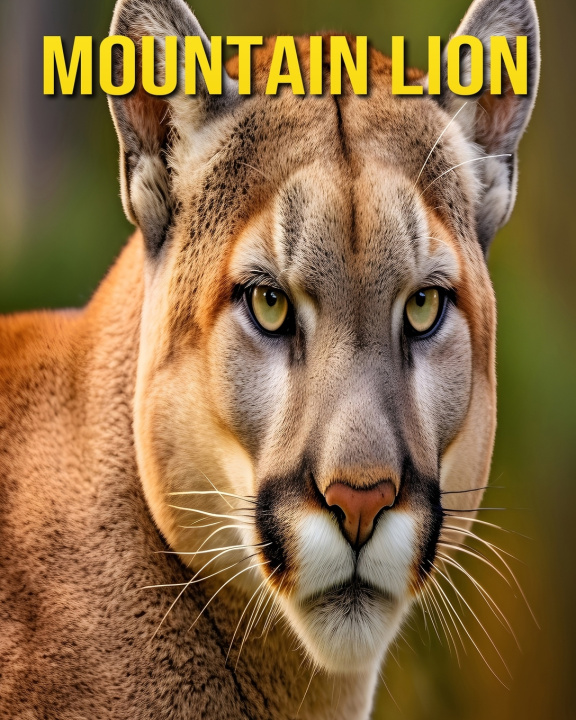 Kniha Mountain Lion Susan Pharo