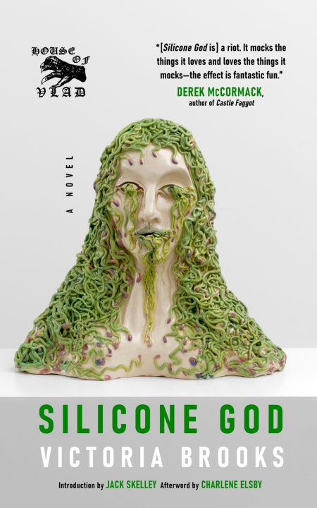 Buch Silicone God Victoria Brooks