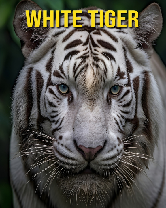 Kniha White Tiger Susan Pharo