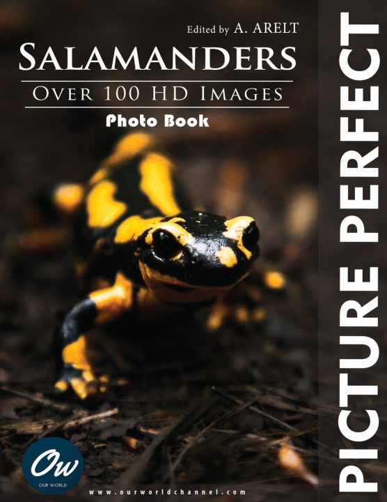 Kniha Salamander A Arelt