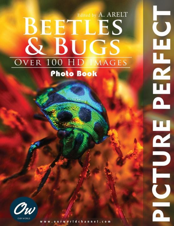 Kniha Bugs & Beetles A Arelt