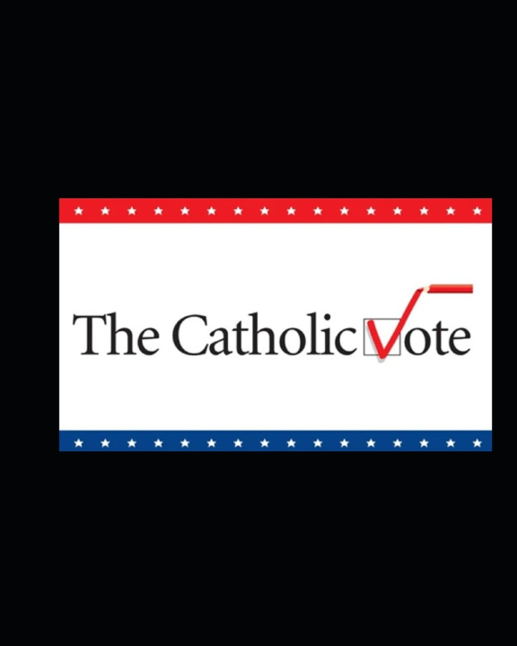 Kniha Voting as a Catholic Walter Viola