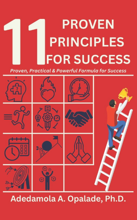 Kniha 11 Proven Principles for Success Adedamola Abraham Opalade