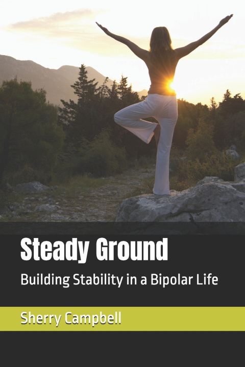 Kniha Steady Ground Sherry Campbell