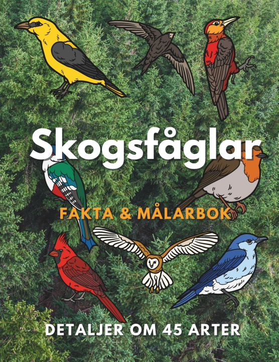 Kniha Skogsfåglar Steven Book