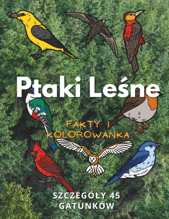 Buch Ptaki Leśne Steven Book