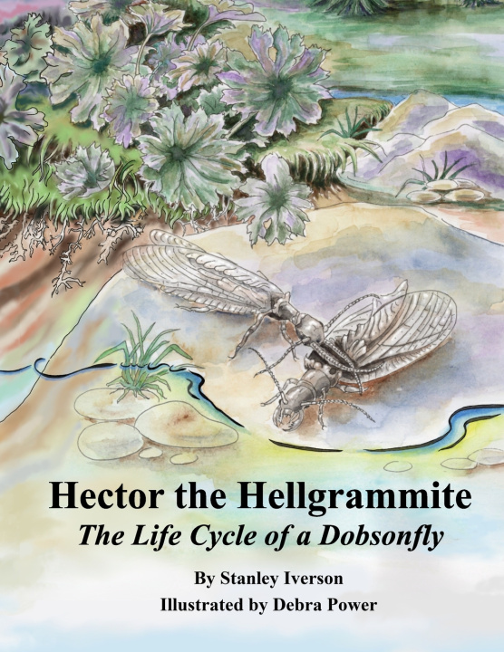 Kniha Hector the Hellgrammite Stanley Iverson
