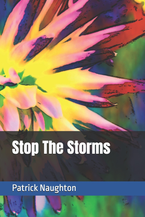 Kniha Stop The Storms Patrick Naughton