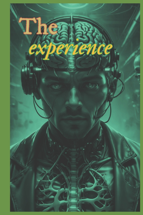 Kniha The experience willian innovador