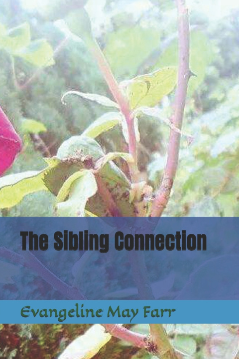Kniha The Sibling Connection Evangeline May Farr