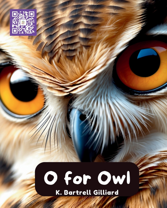 Kniha O For Owl K. B Gilliard