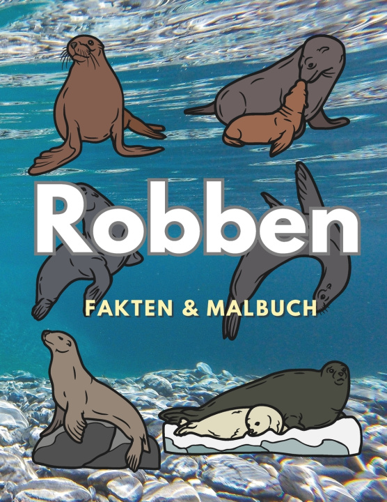 Kniha Robben Steven Book