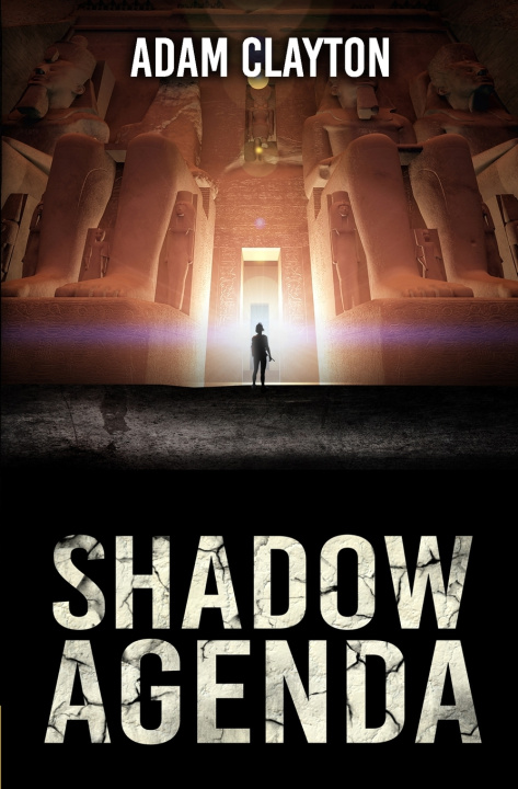 Kniha Shadow Agenda Adam Clayton