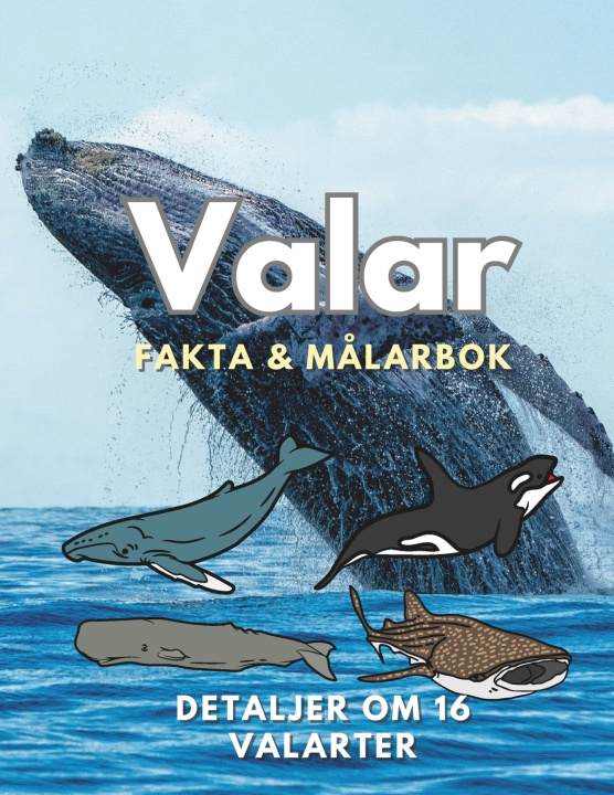 Kniha Valar Steven Book
