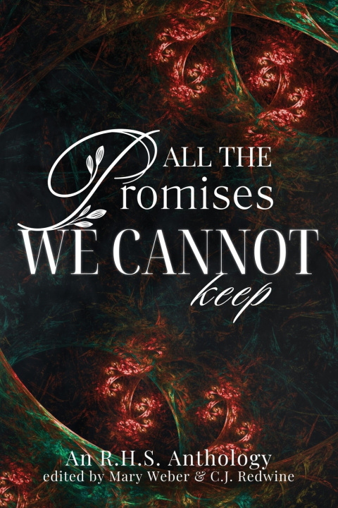 Kniha All the Promises We Cannot Keep Bridgette O'Hare