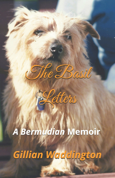 Kniha The Basil Letters Gillian Rosemary Waddington