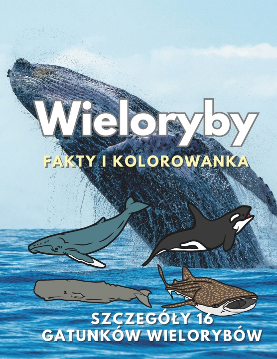 Buch Wieloryby Steven Book