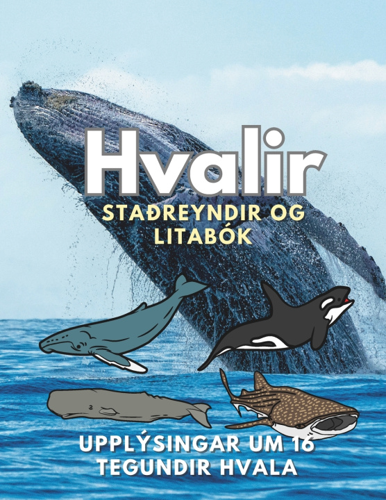 Kniha Hvalir Steven Book