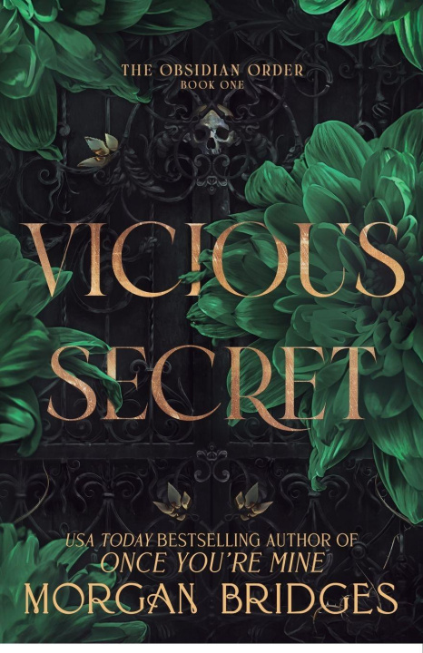 Buch Vicious Secret Morgan Bridges