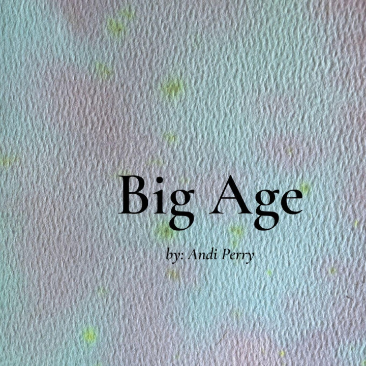 Kniha BIG Age Andi Perry Perry