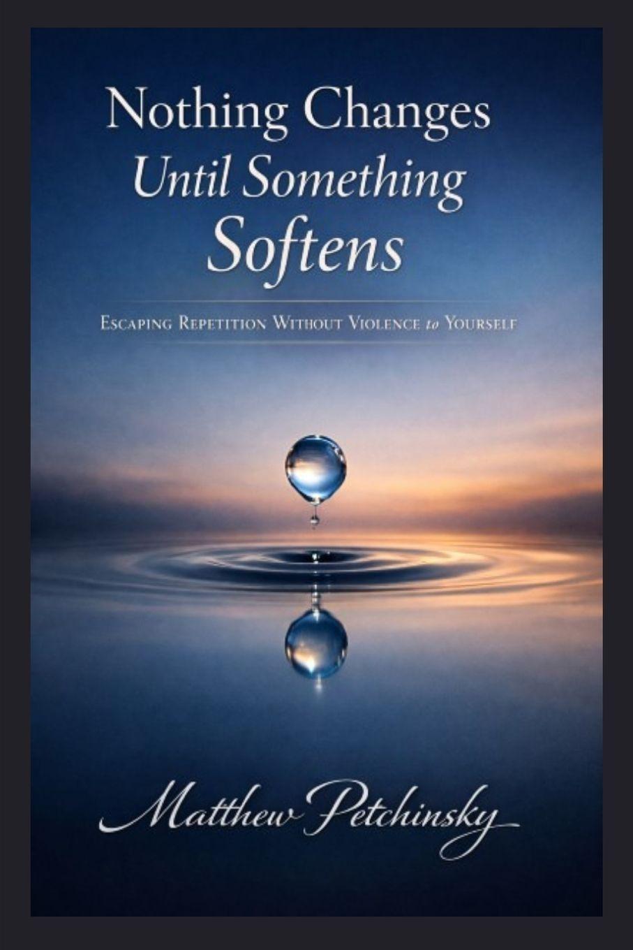 Kniha Nothing Changes Until Something Softens Matthew Petchinsky