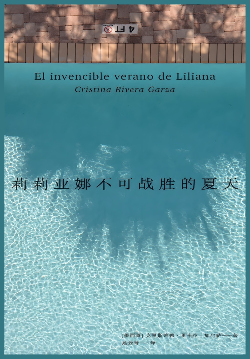 Knjiga 莉莉亚娜不可战胜的夏天 克里斯蒂娜·里韦拉·加尔萨