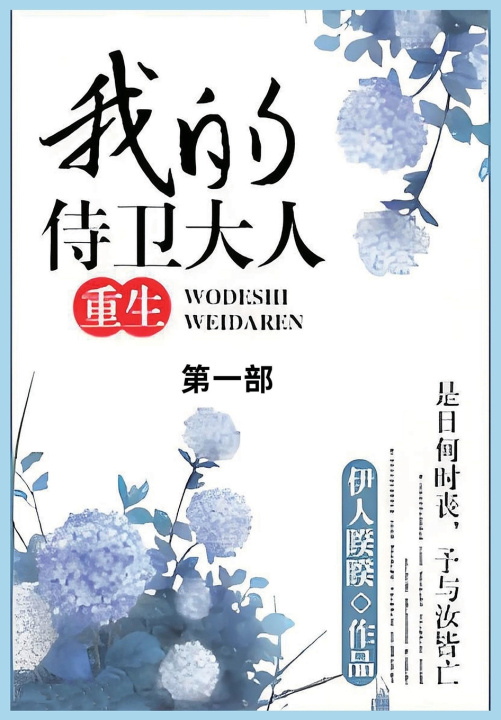 Knjiga 我的侍卫大人第一部 伊人睽睽