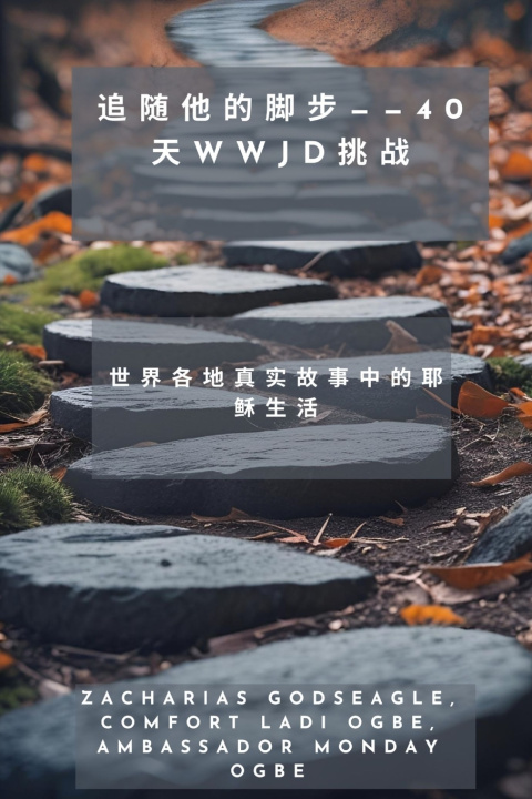 Kniha 追随他的脚步--40天WWJD挑战- 世界各地真实故事中的耶稣生活 Zacharias Godseagle