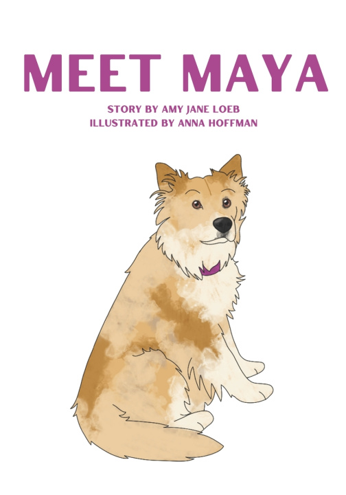 Kniha Meet Maya Amy Jane Loeb