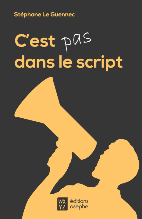 Kniha C'est pas dans le script Stéphane Le Guennec