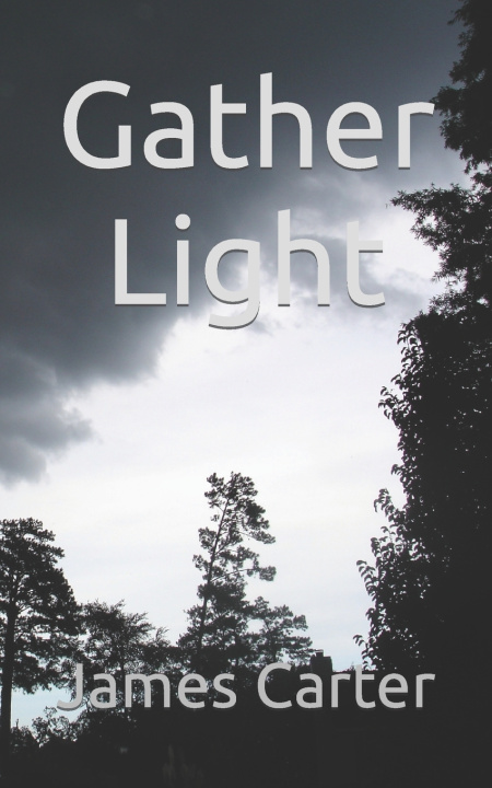 Book Gather Light James A Carter