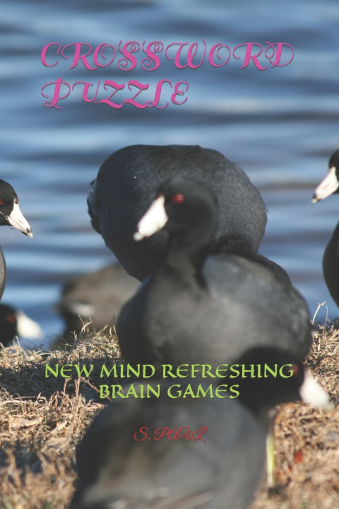 Kniha CROSSWORD PUZZLE S. PAUL