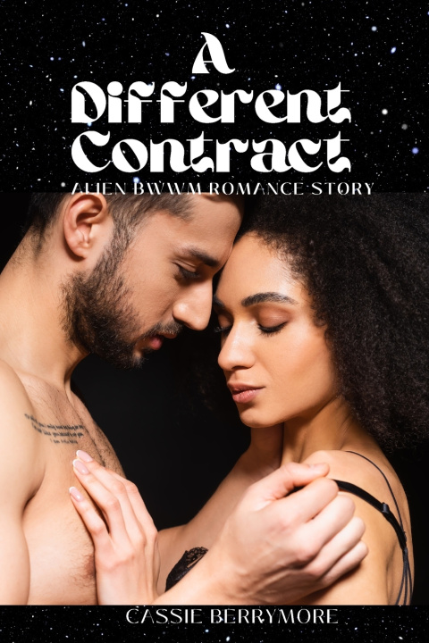 Kniha A Different Contract Cassie Berrymore
