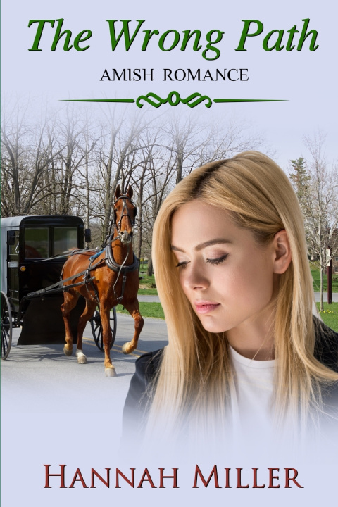 Knjiga The Wrong Path Hannah Miller